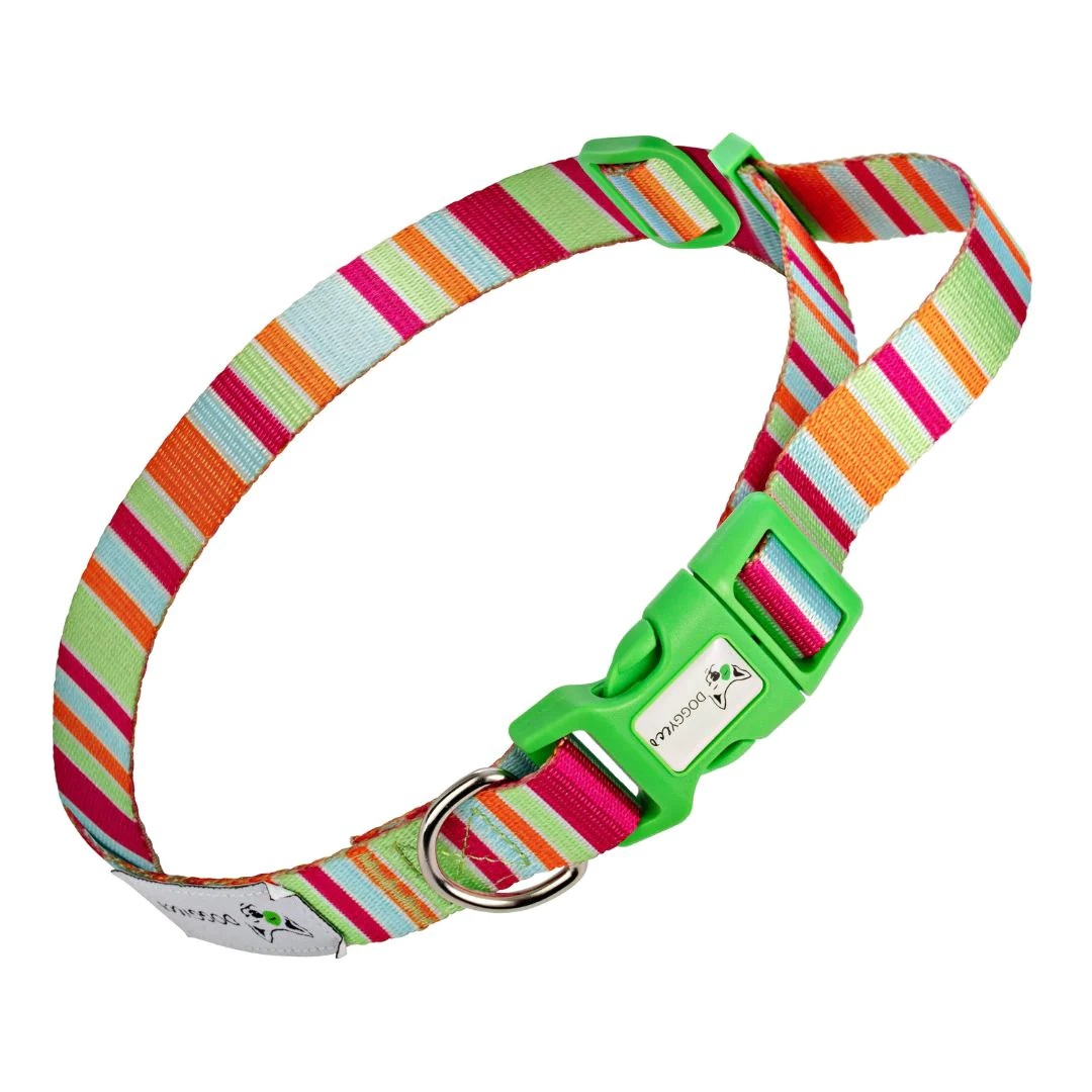 Eco-friendly Dog Collar Soda - Image 3