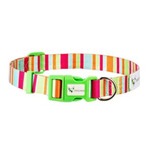 Soda dog collar made from recycled plastic