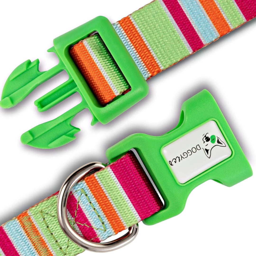 Eco-friendly Dog Collar Soda - Image 4