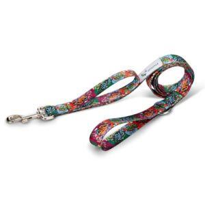 BFF dog leash made from recycled plastic