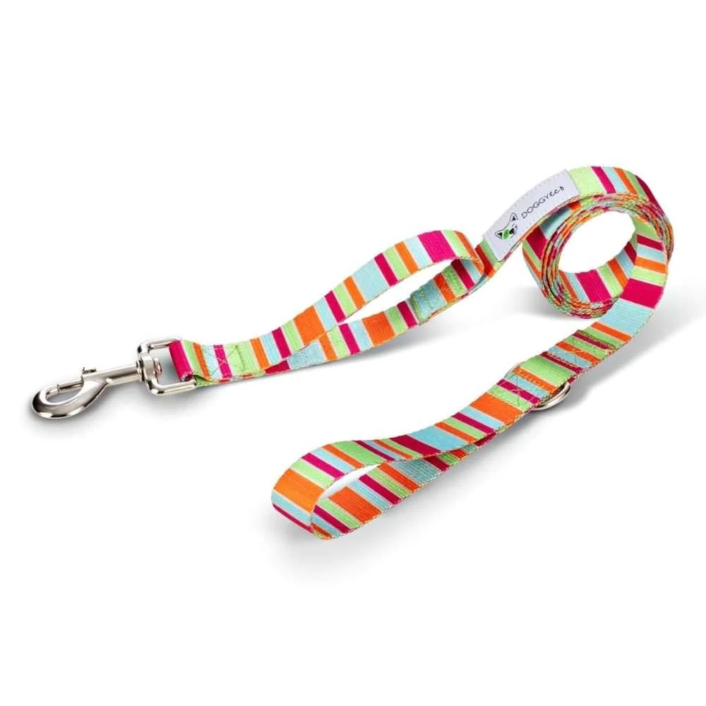 Soda dog leash made from recycled plastic