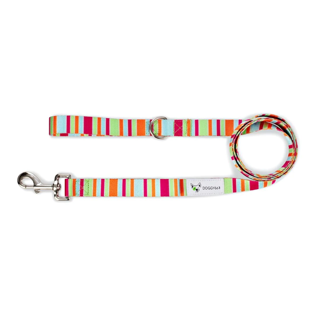 Eco-friendly Dog Leash Soda - Image 3