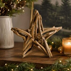 driftwood star decor ornament