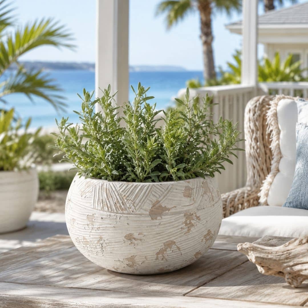 short pot plant holder Byron