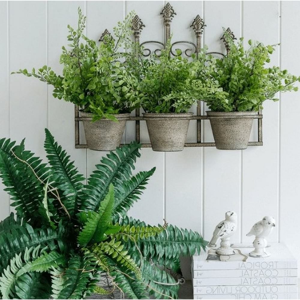 wall planter trio with three pot plant holders