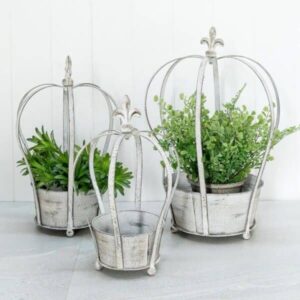 Garden & Outdoor